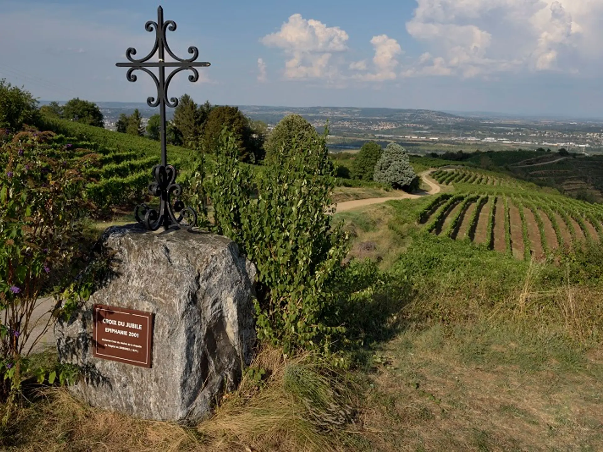 Vignobles depuis Serrières