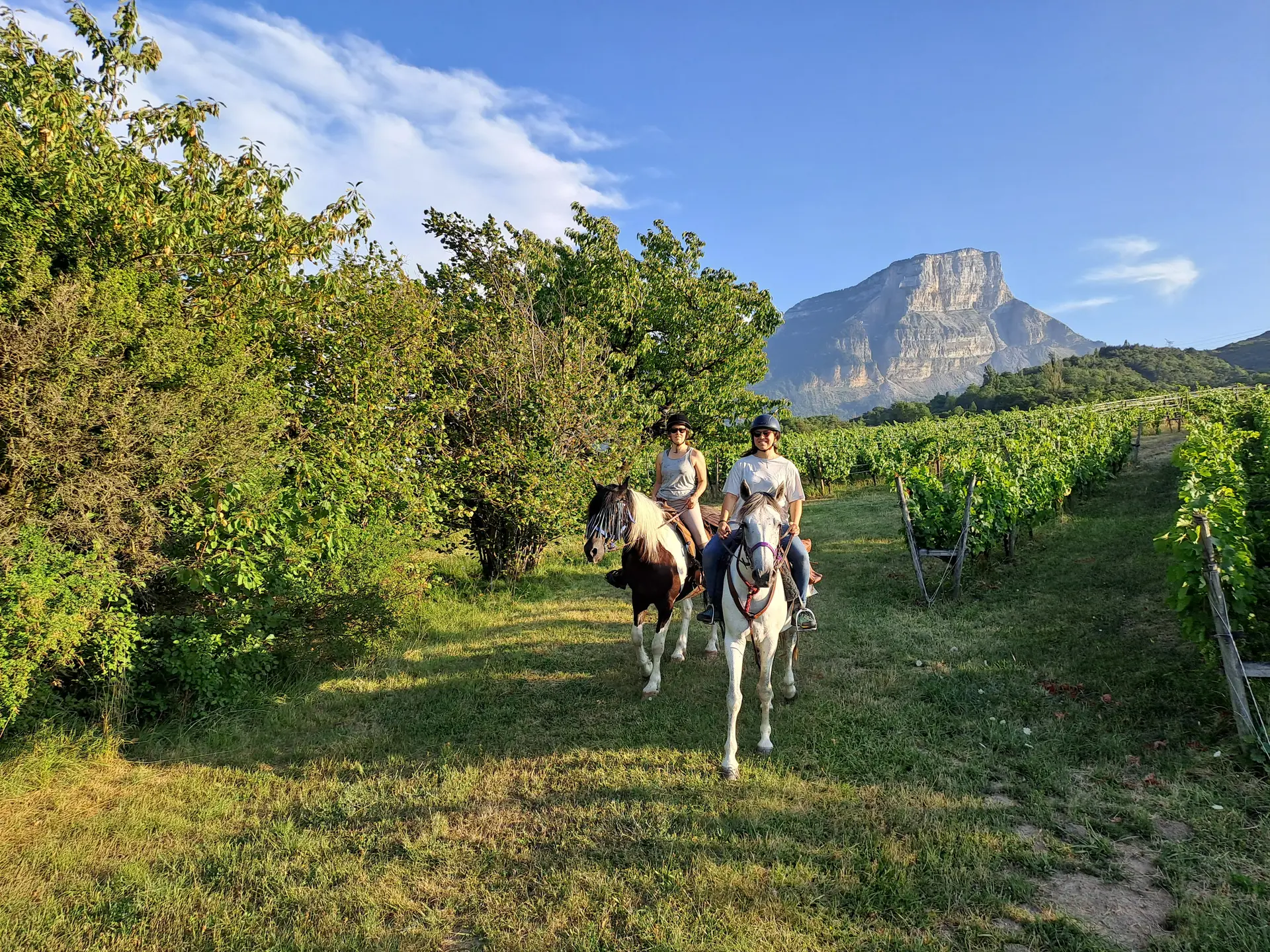 Randonnée dans les vignes au pied du Mont Granier