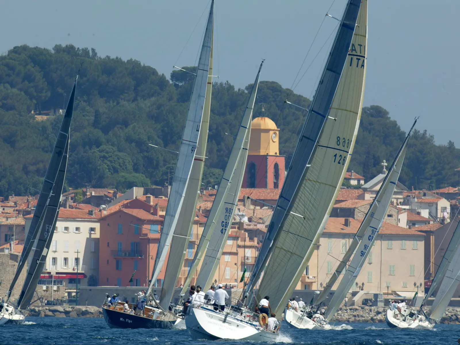 Les Voiles de Saint-Tropez