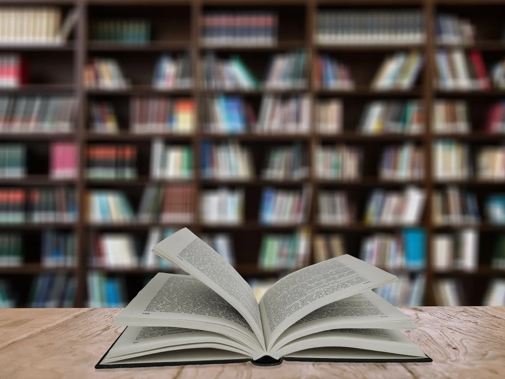 Les bibliothèques en Méditerranée Porte des Maures