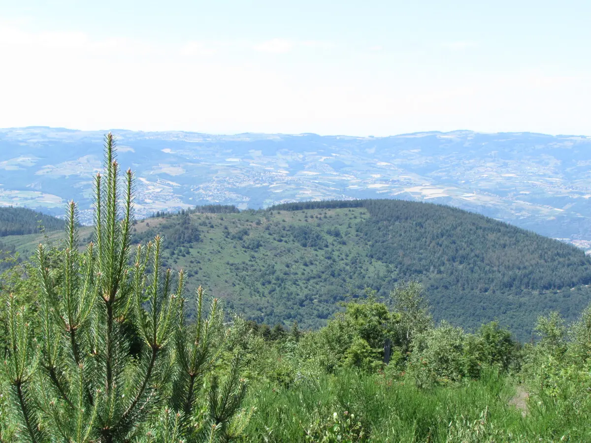 depuis la Croix de Montvieux