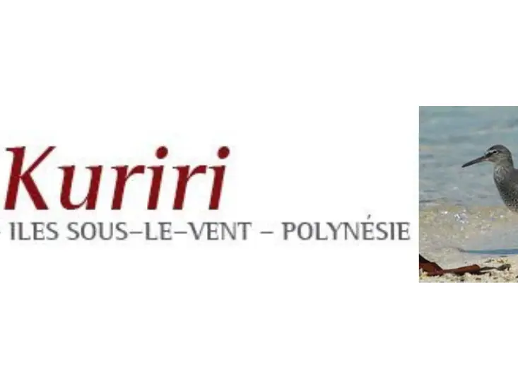 Le Kuriri