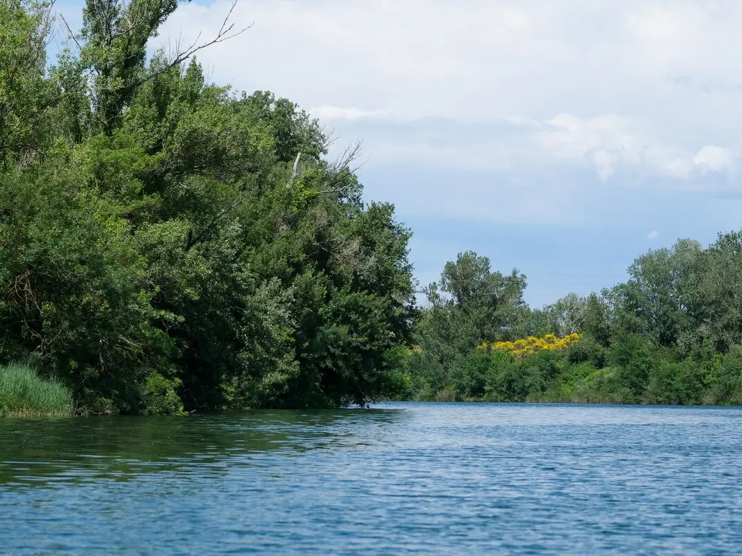 L’île de la Barthelasse_Avignon