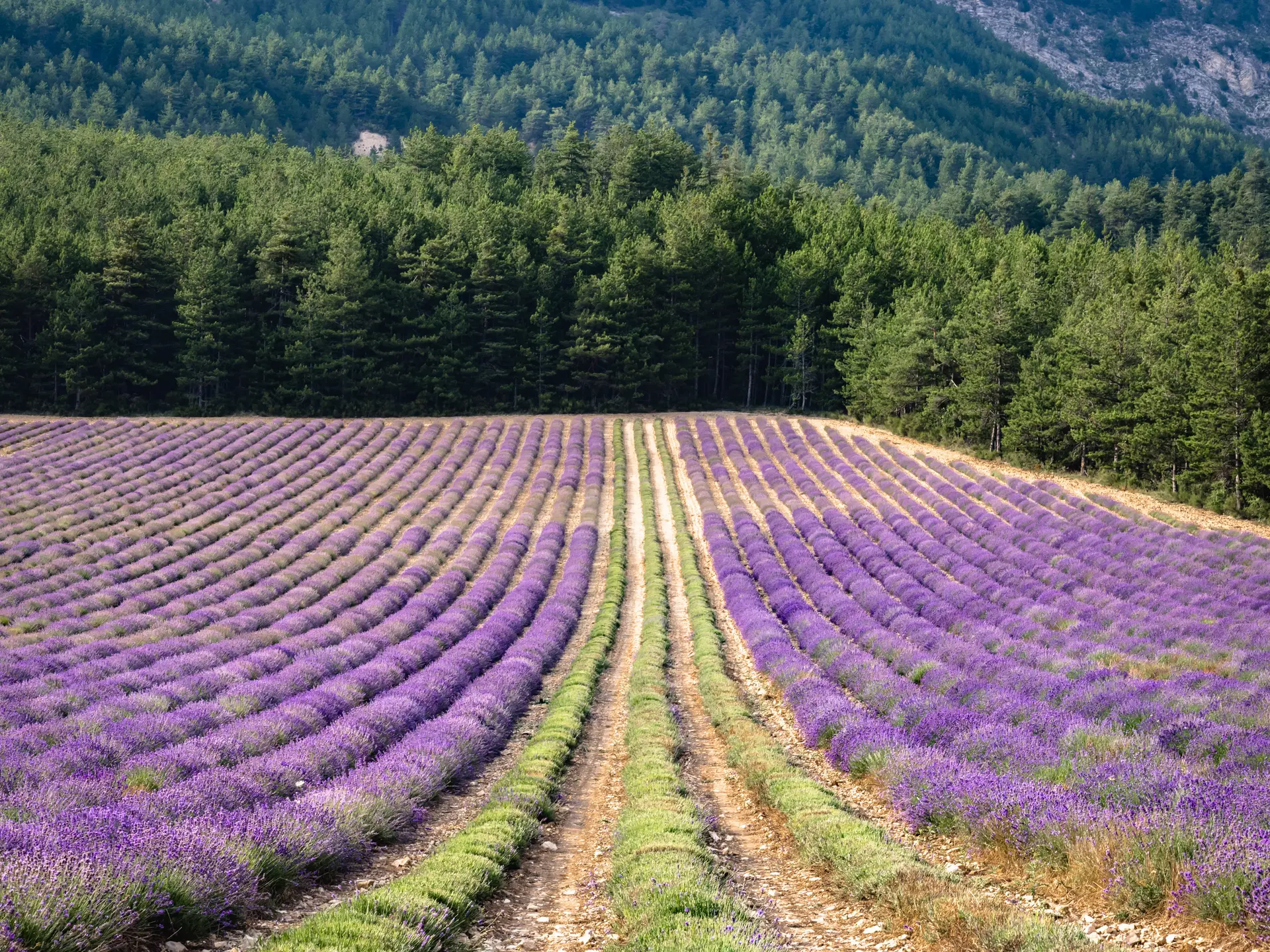 Tour du clos des Combes