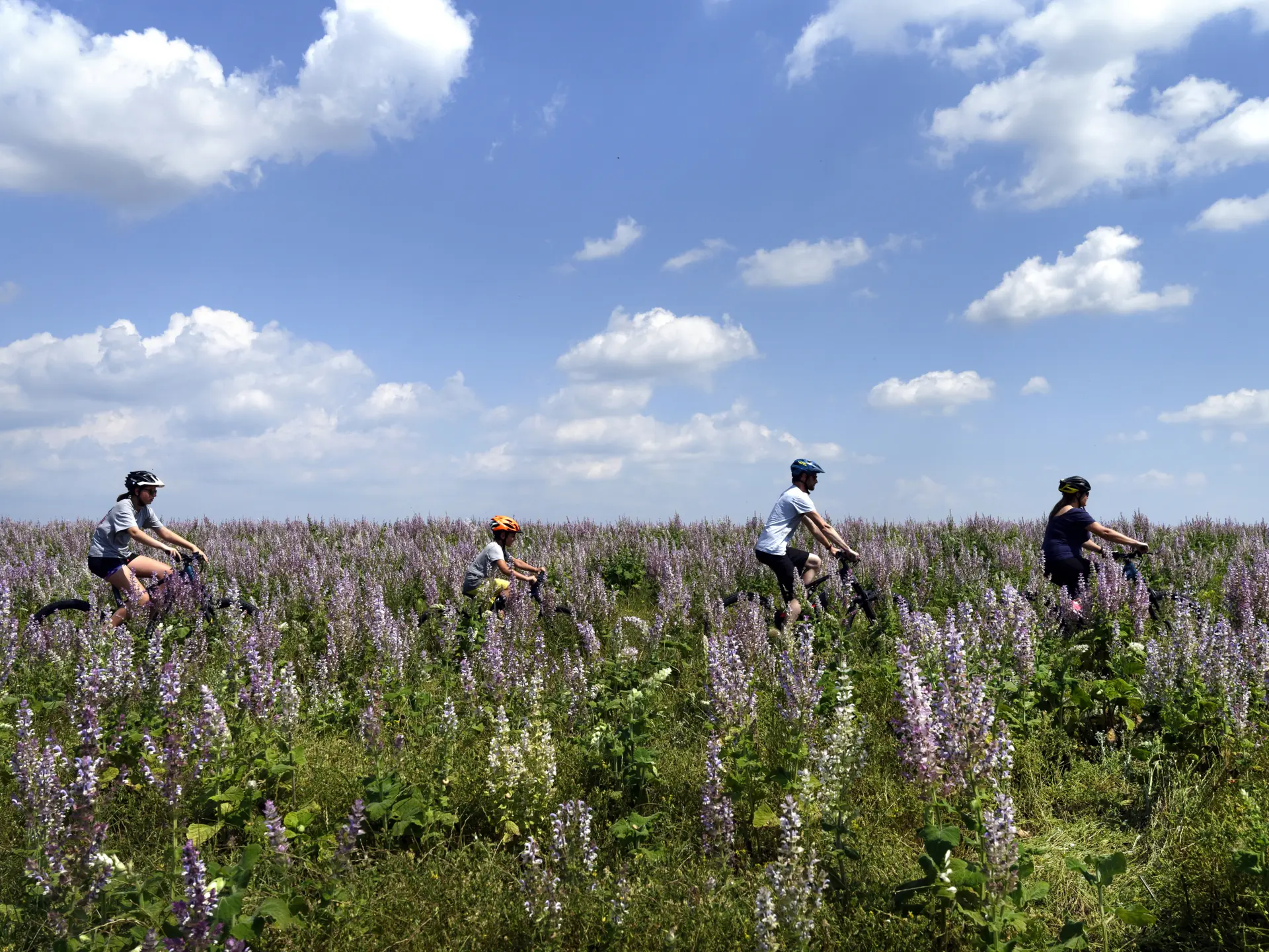 Circuit VTT 42 Provence Verdon