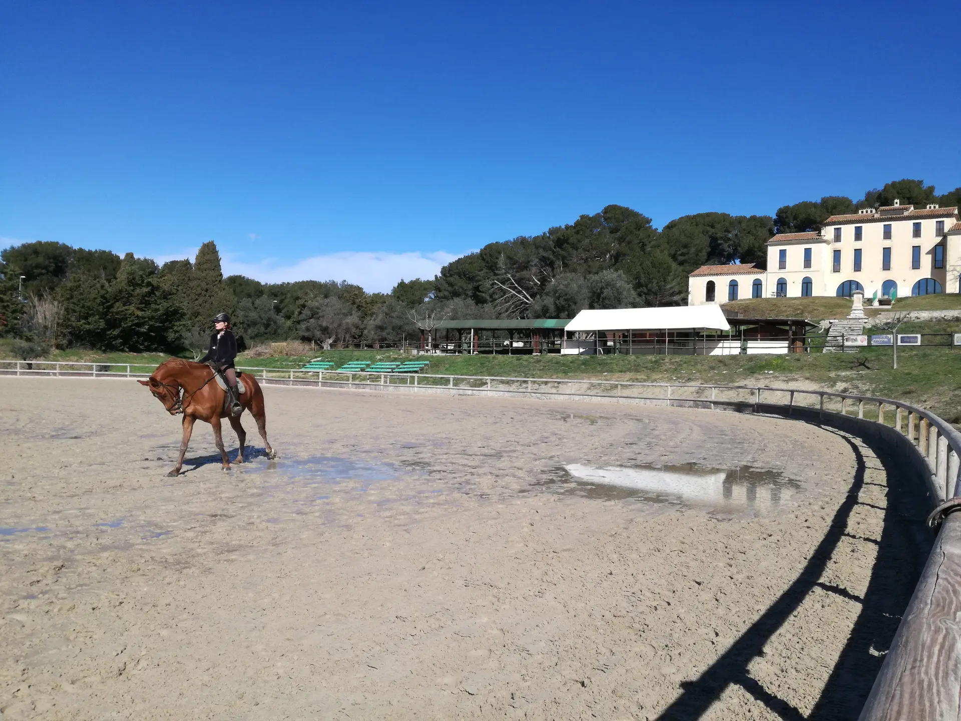 Matinée à cheval