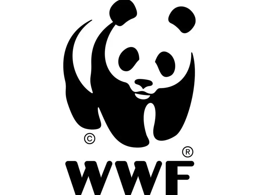 Association WWF Marseille