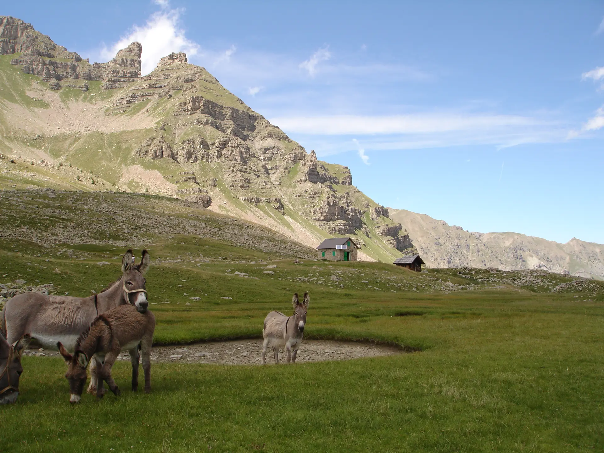 plateau de gialorgues