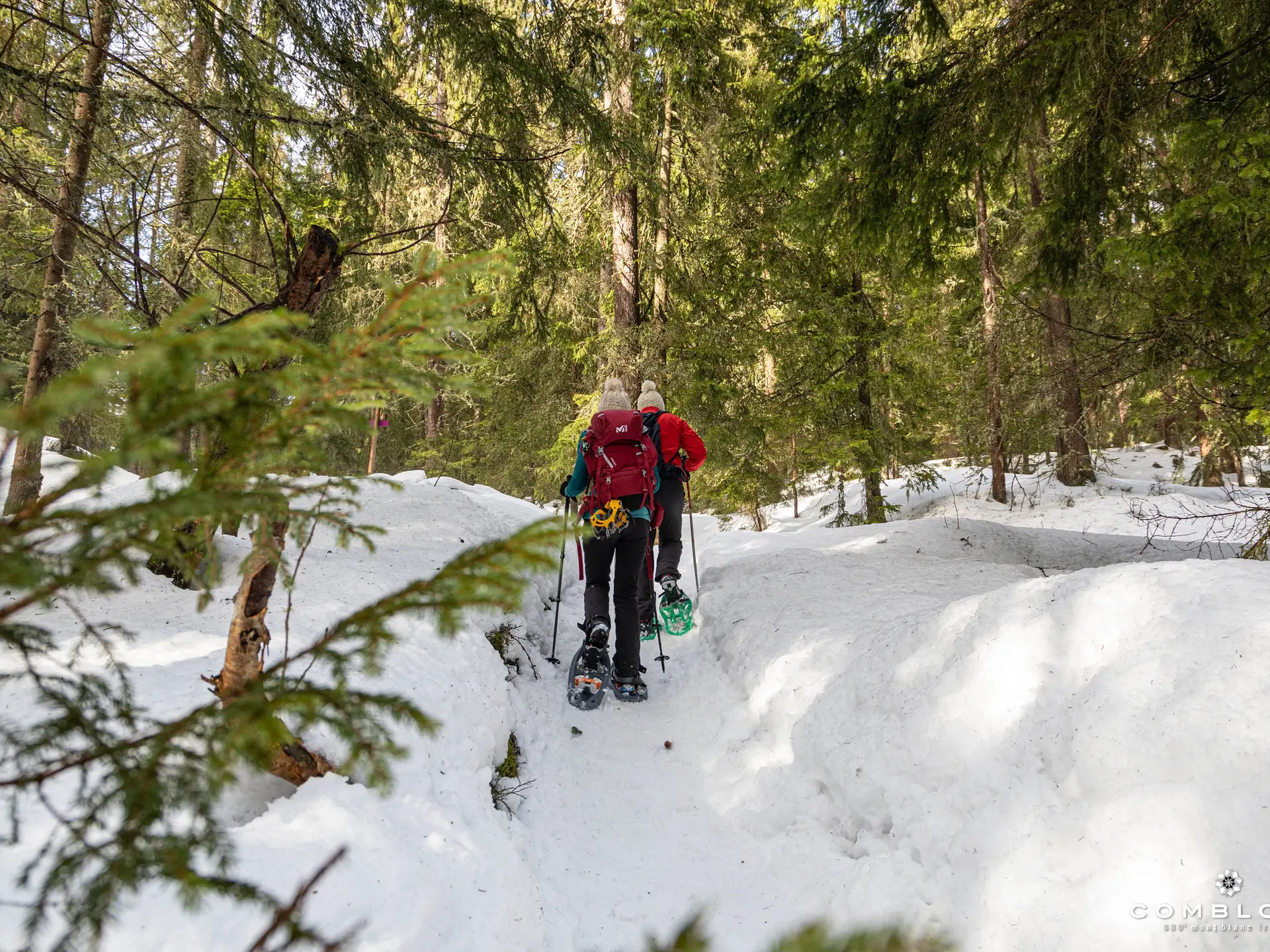 couple en raquettes dans la forêt