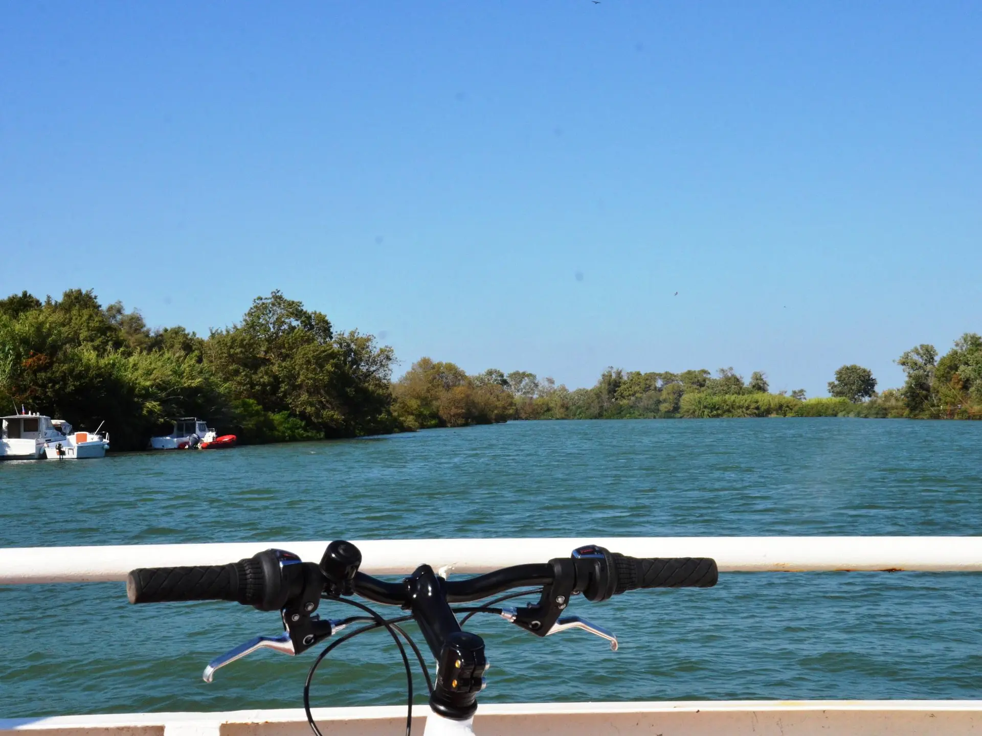 Vélo sur le bac du Sauvage