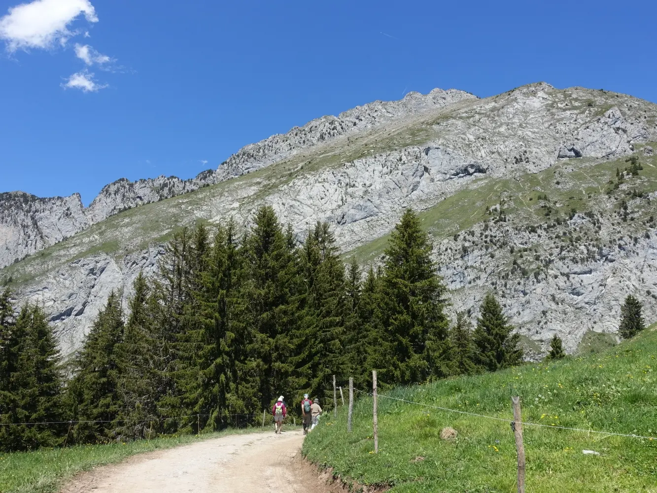 Arête du Mont Chauffé Abondance