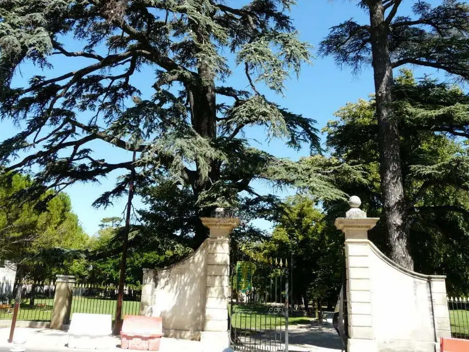 Parc de la Cantonne