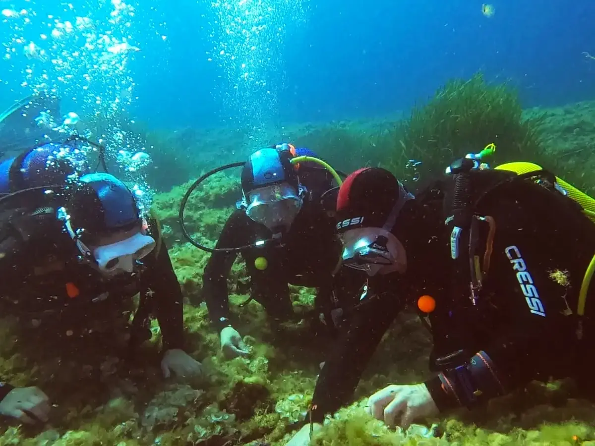 Le Brusc Plongée - Six-Fours-les-Plages