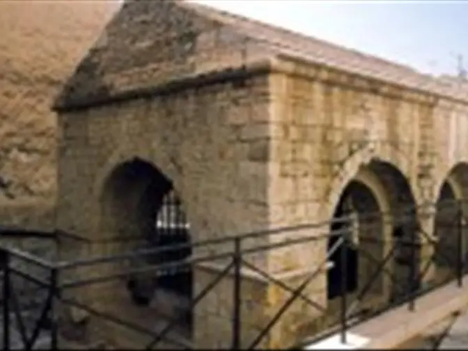 La Font Basse - Lorgues