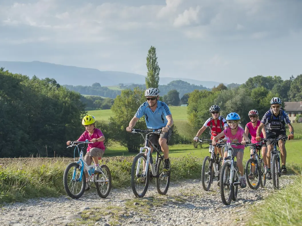 Découverte Albanais VTT
