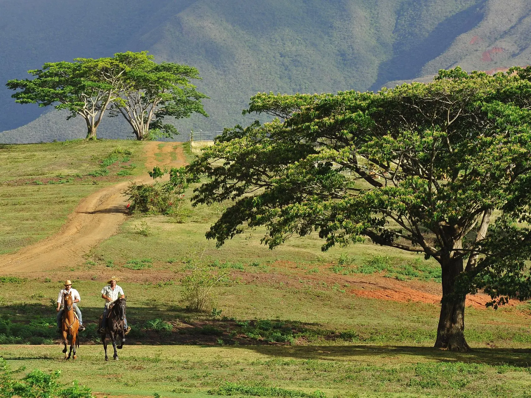 Horseback riding at Yala Ranch