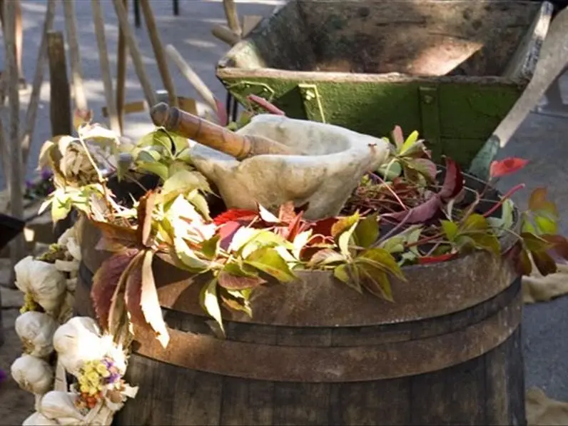 Brasserie de l'Europe