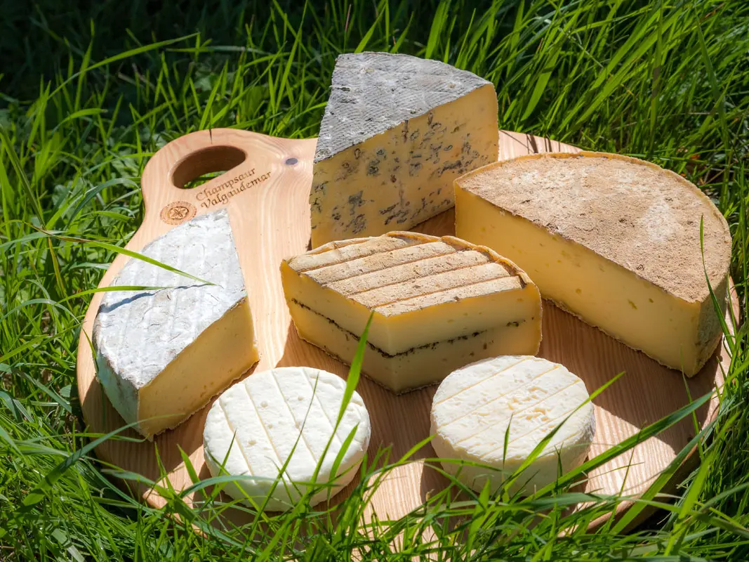 Fromagerie du Champsaur à La Fare-en-Champsaur