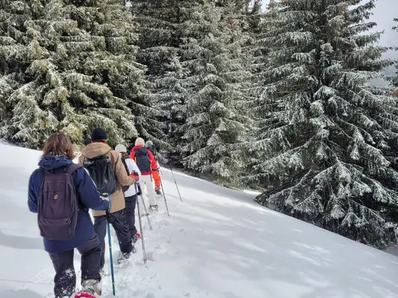 Randonnée hivernale à la journée