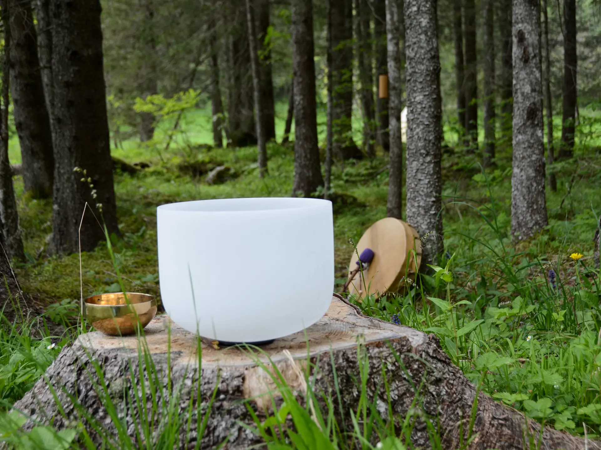 Relaxation Sonore entre Terre et Ciel_Les Contamines-Montjoie