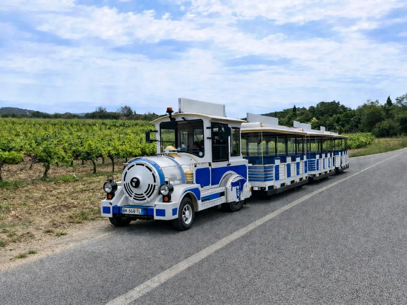 Circuit découverte de La Londe les Maures en Petit Train à la Londe-les-Maures