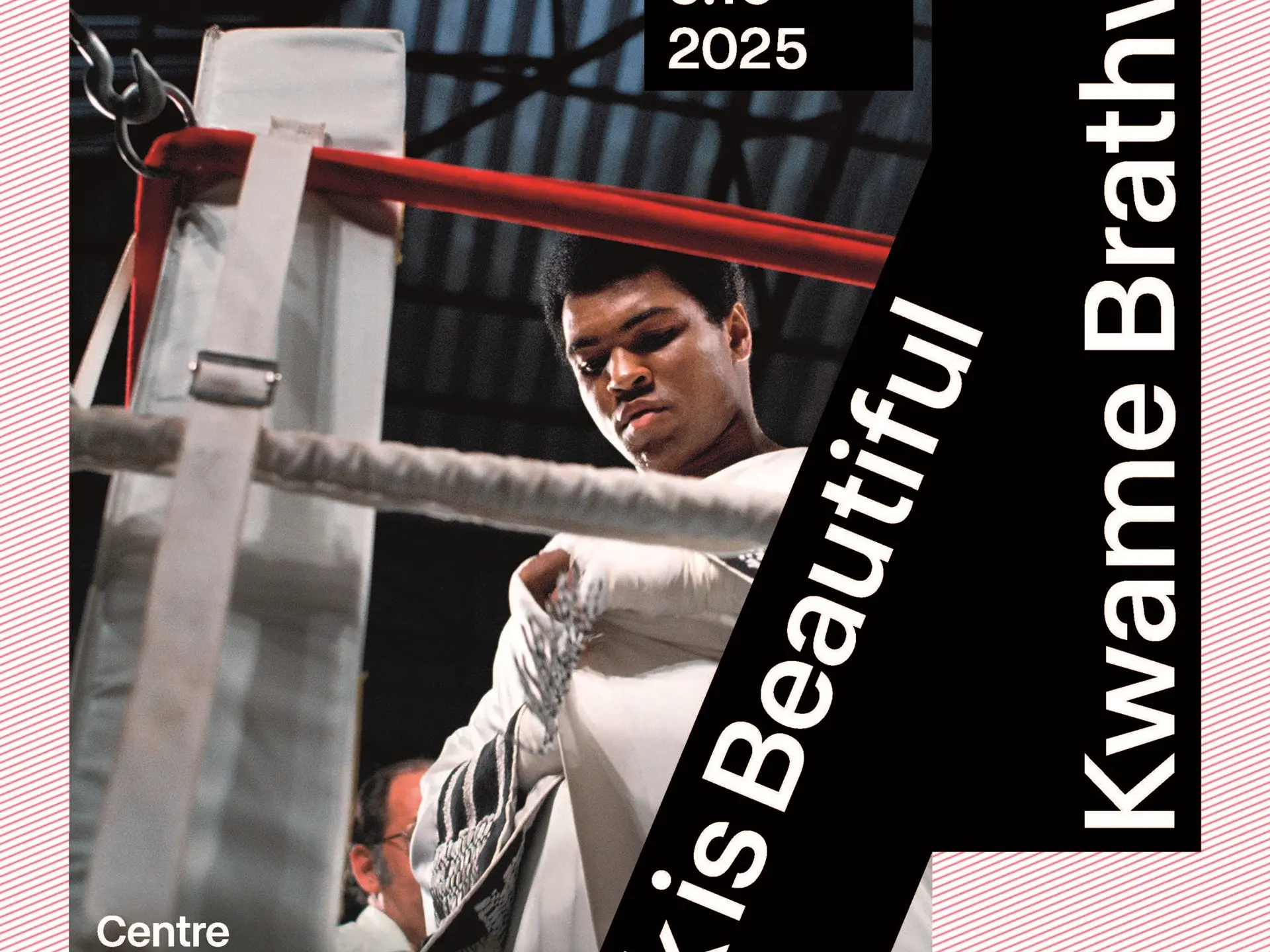 Exposition Kwame Brathwaite - Black is Beautiful à Mougins