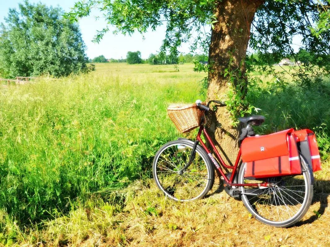 La plaine agricole de Saint Pierre à vélo, Saint Julien le Montagnier
