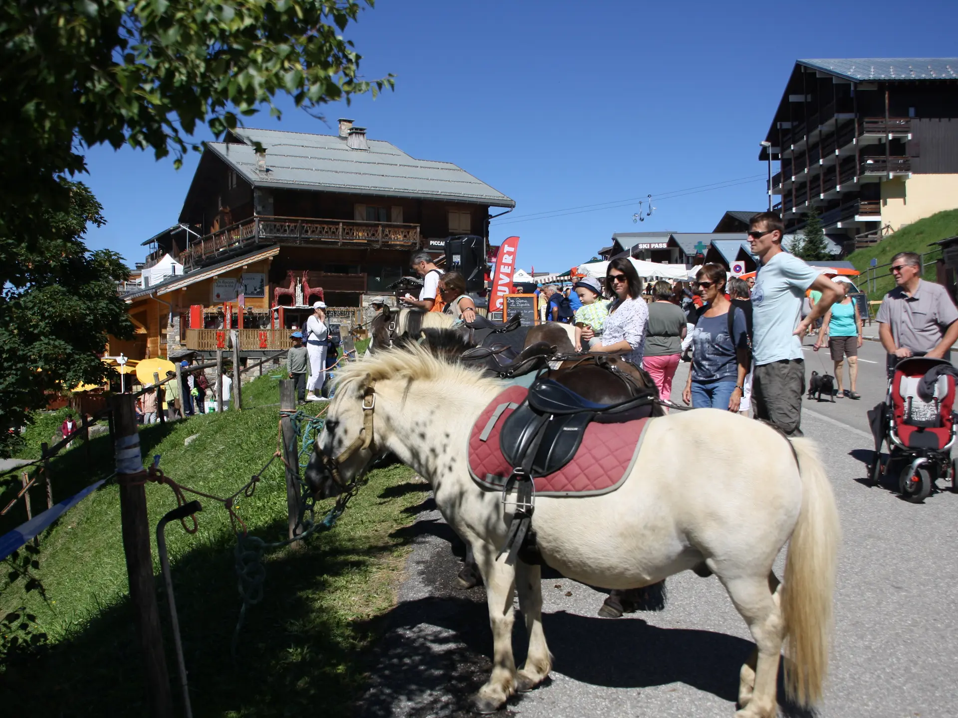 Balade à poney en Savoie