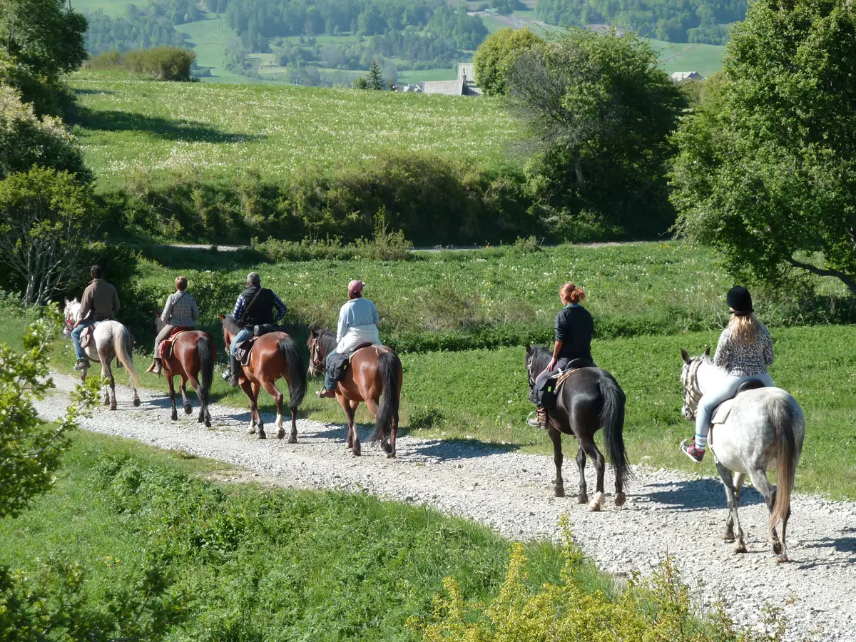 Randonnée avec le Centre équestre Les Ecuries des Ecrins à St Léger-les-Mélèzes