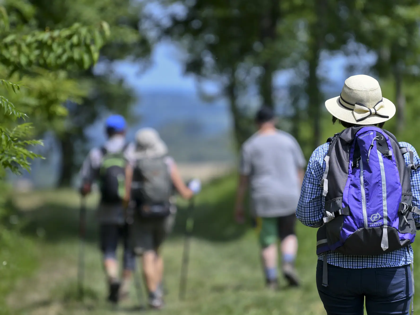 Les canaux La meyerie