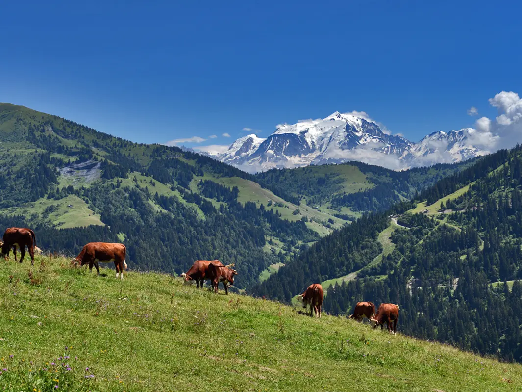 Alpage du Mégevan