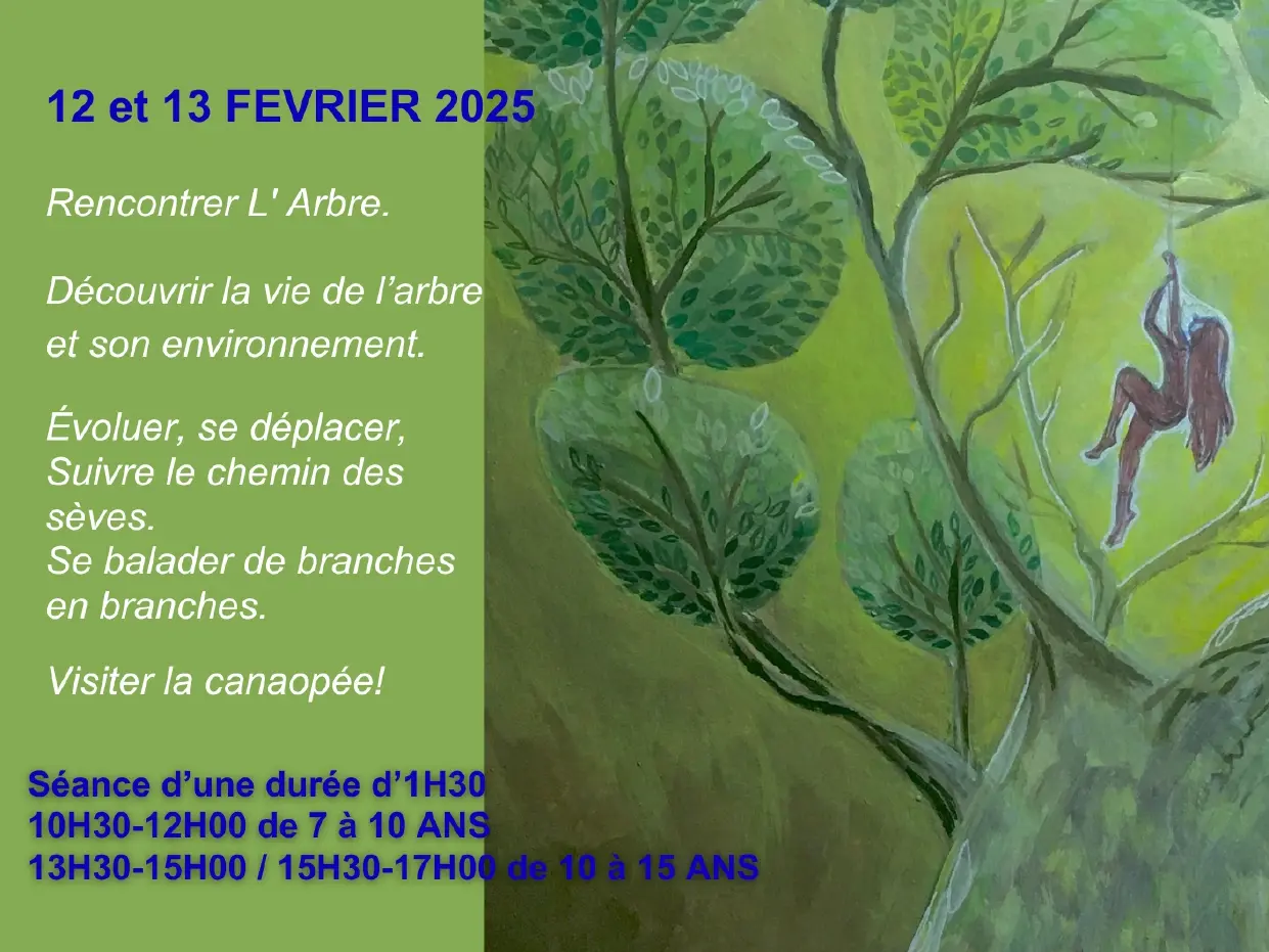 STAGE GRIMPE D'ARBRE JARDIN DE BAUDOUVIN 12 ET 13 FEVRIER 2025_page-0001