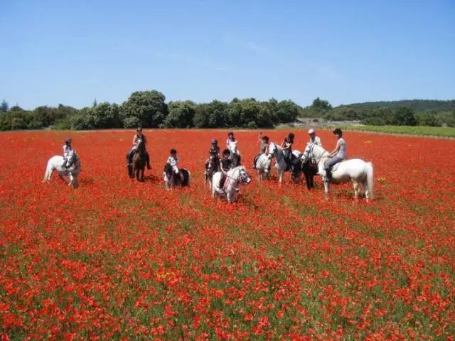 Balade Haras de Lagnes