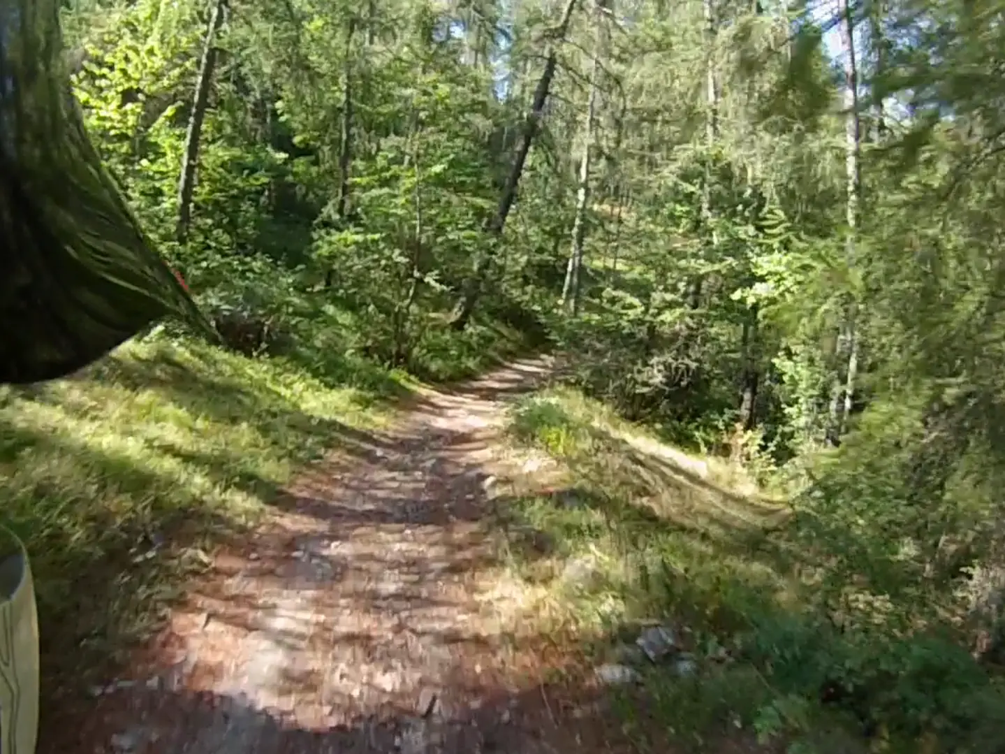 Sentier descendant le long de la Guisane