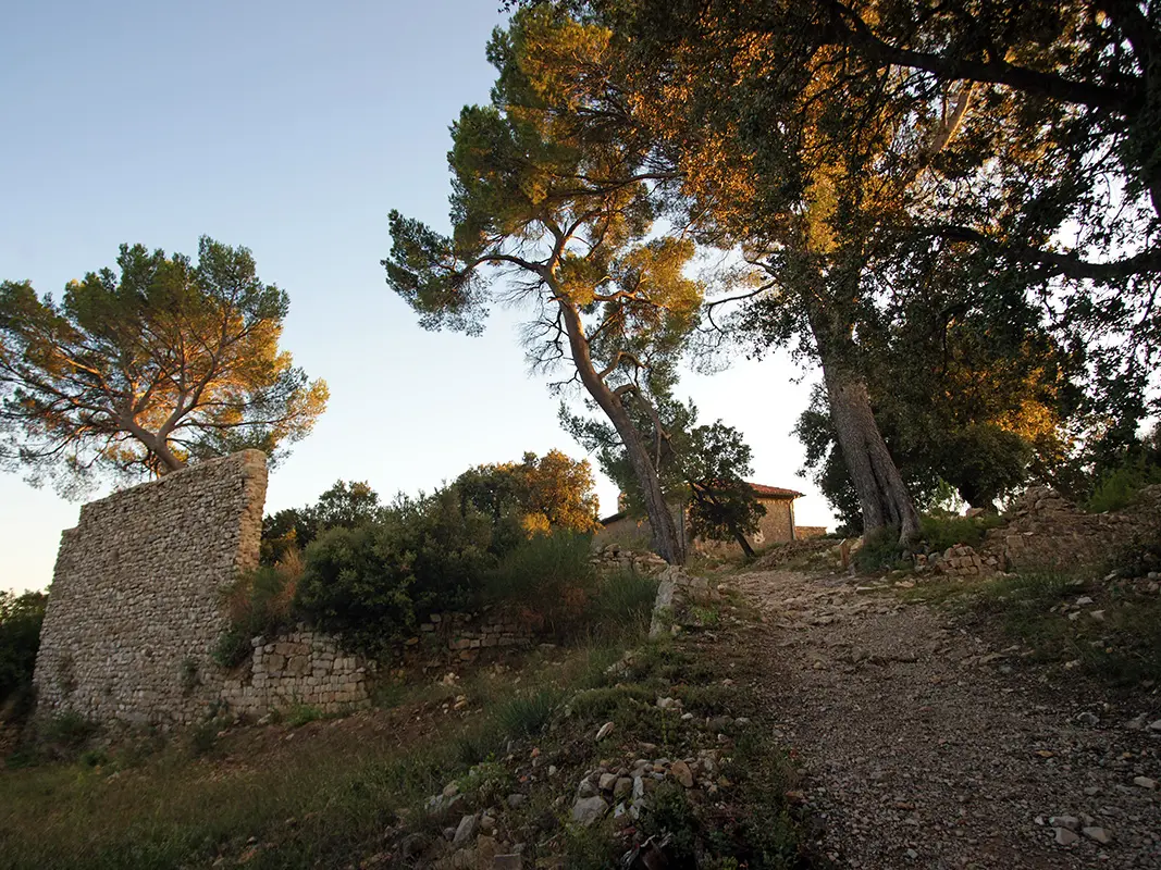 Notre Dame de la Vière - Ancien castrum - Carnoules