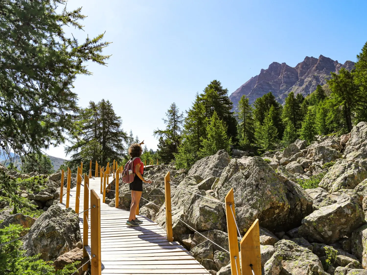 Sentier des Myrtilles