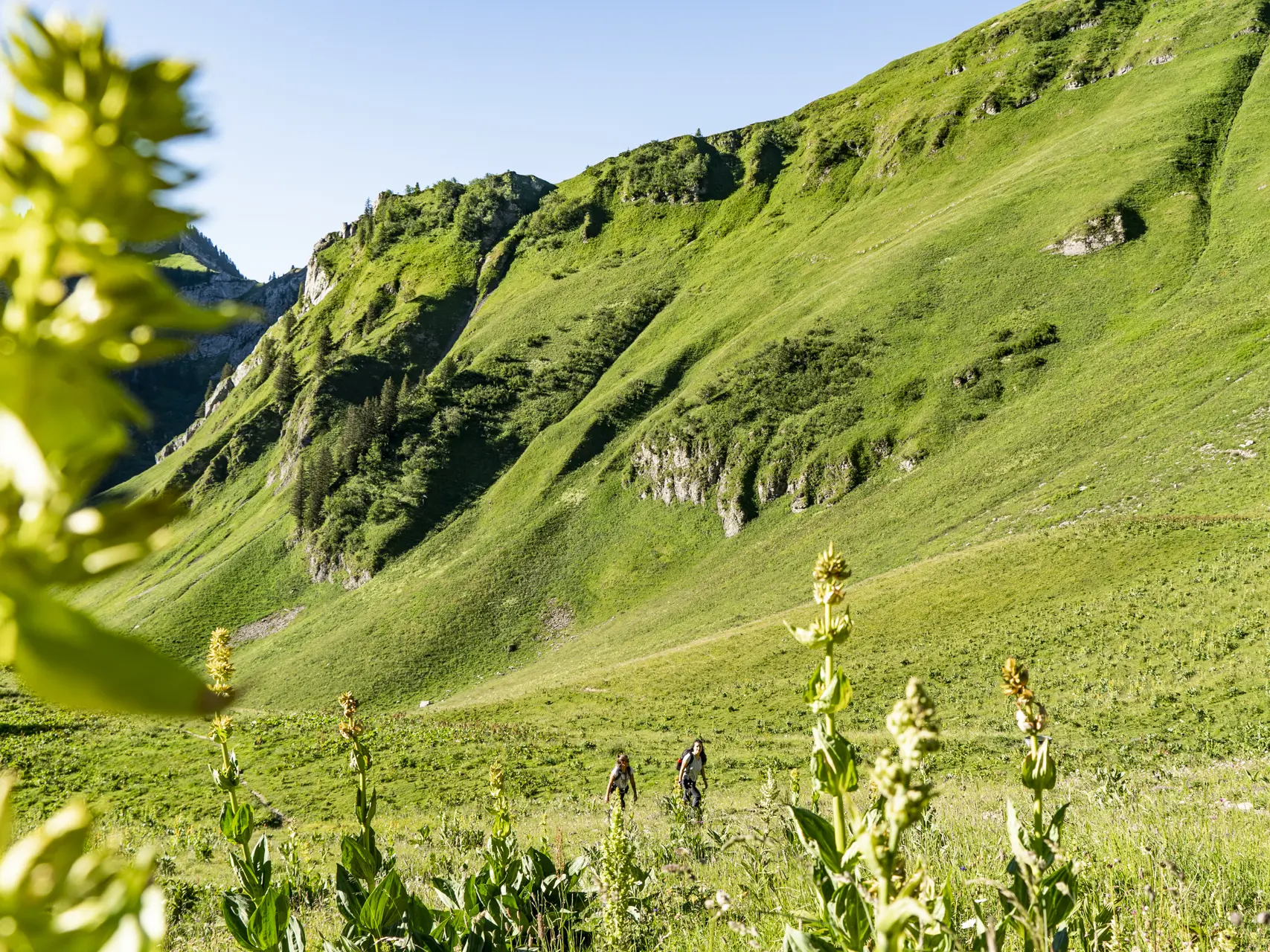 Randonnée en Montagne