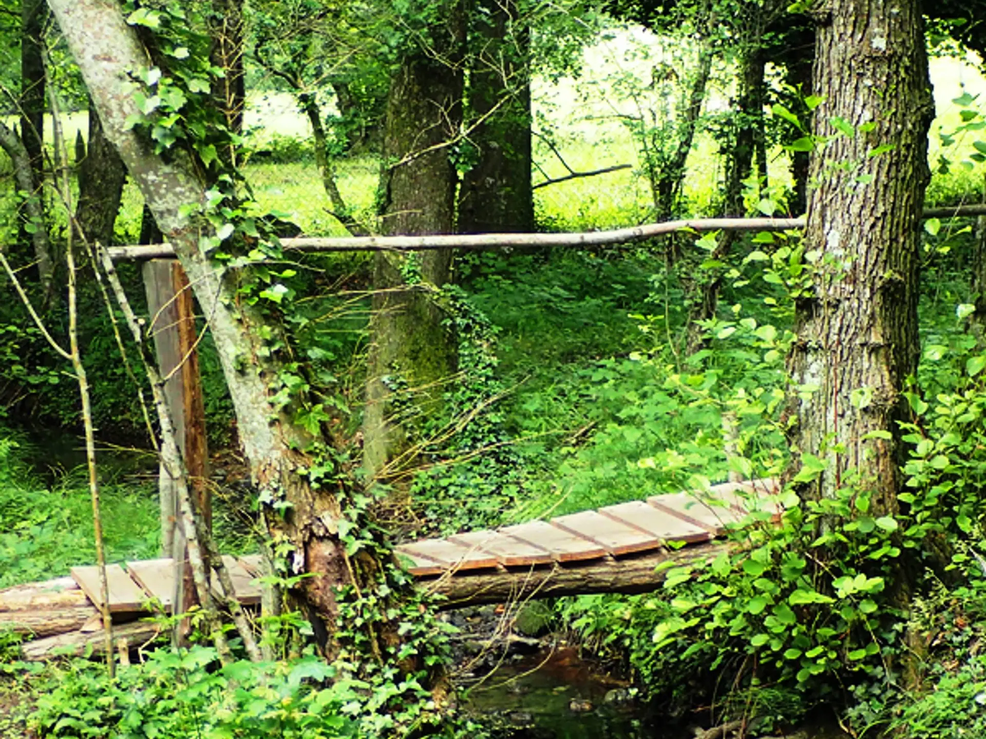 Passerelle au-dessus du ruisseau Le Charalon