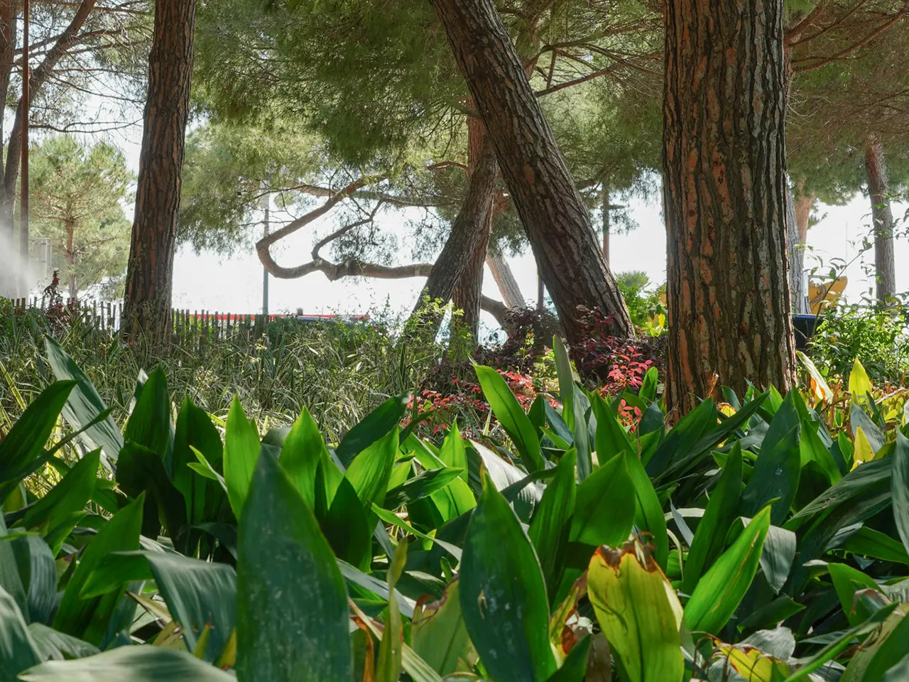 Jardin de la Pinède_Juan-les-Pins