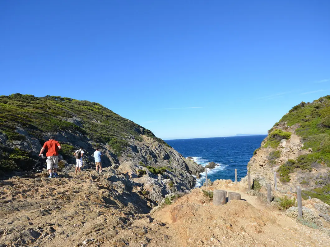 Sentier du littoral – « Balade des fruits d’or »