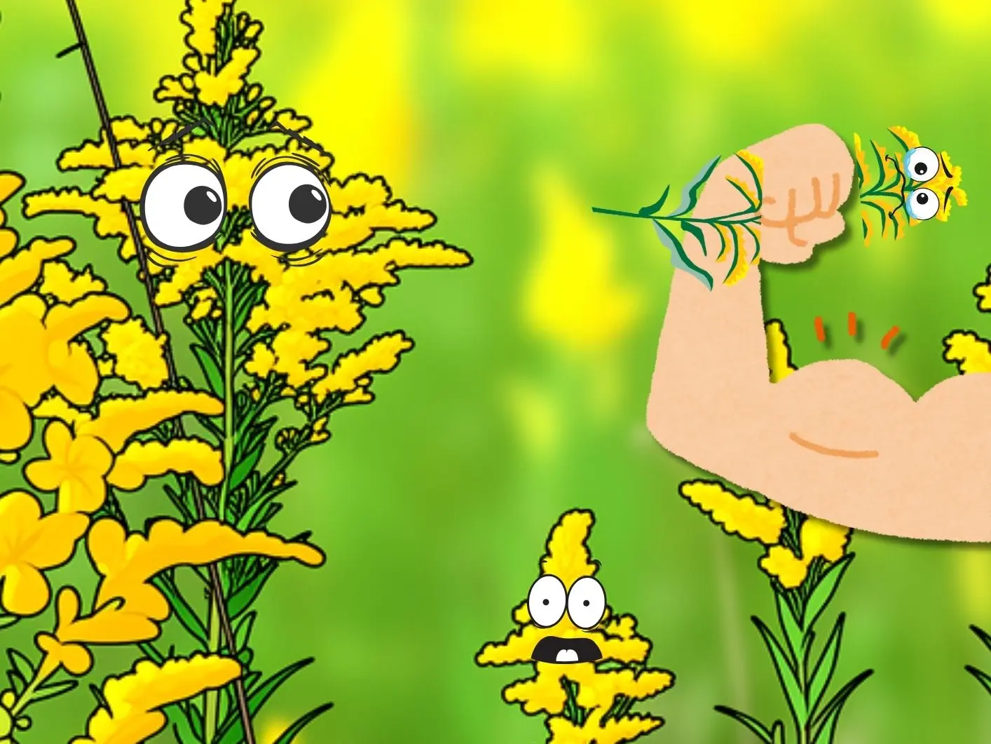 Mardi transpi : bye bye les invasives !_Doussard