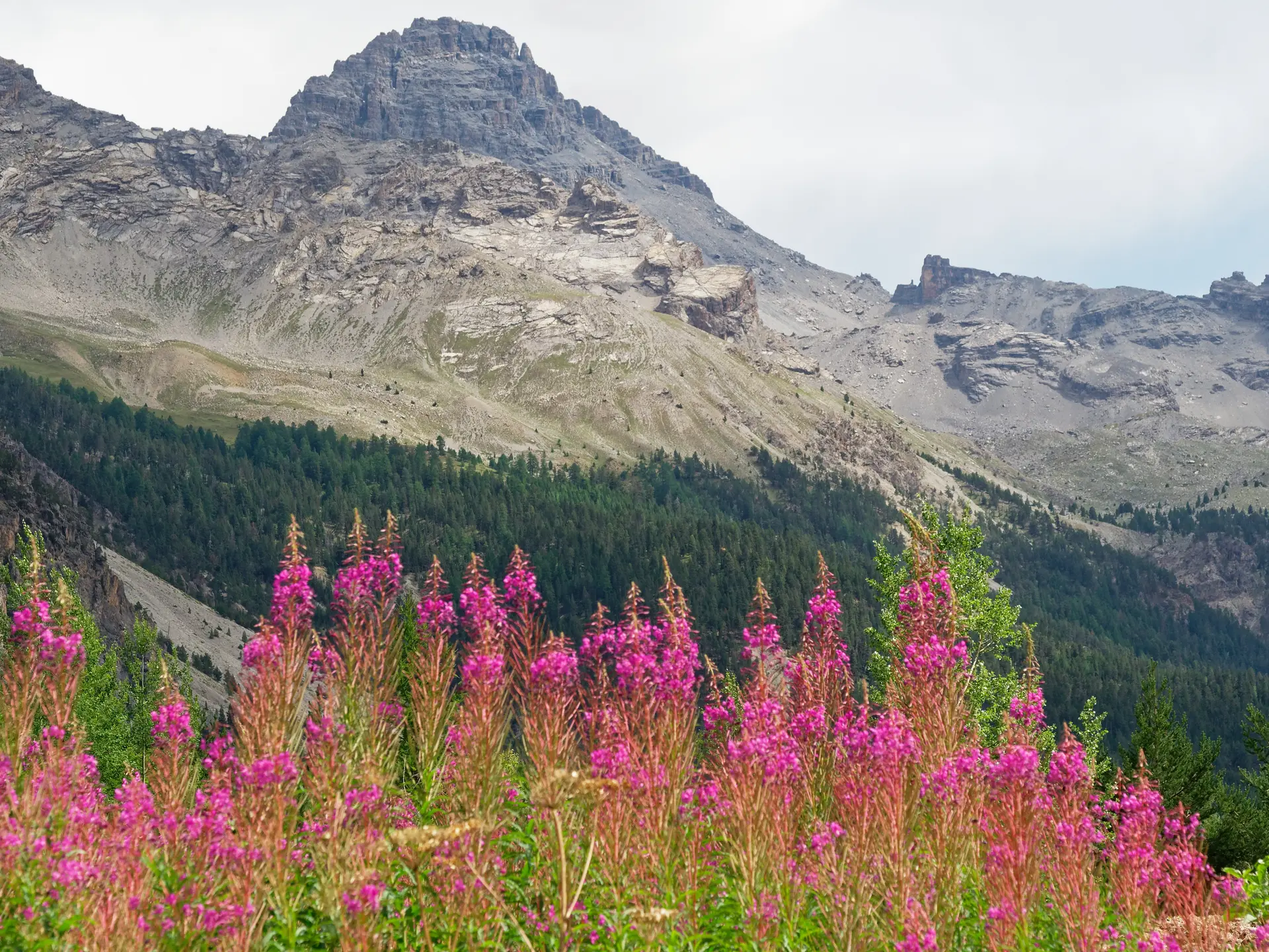 Pic de Rochebrune - Cervières