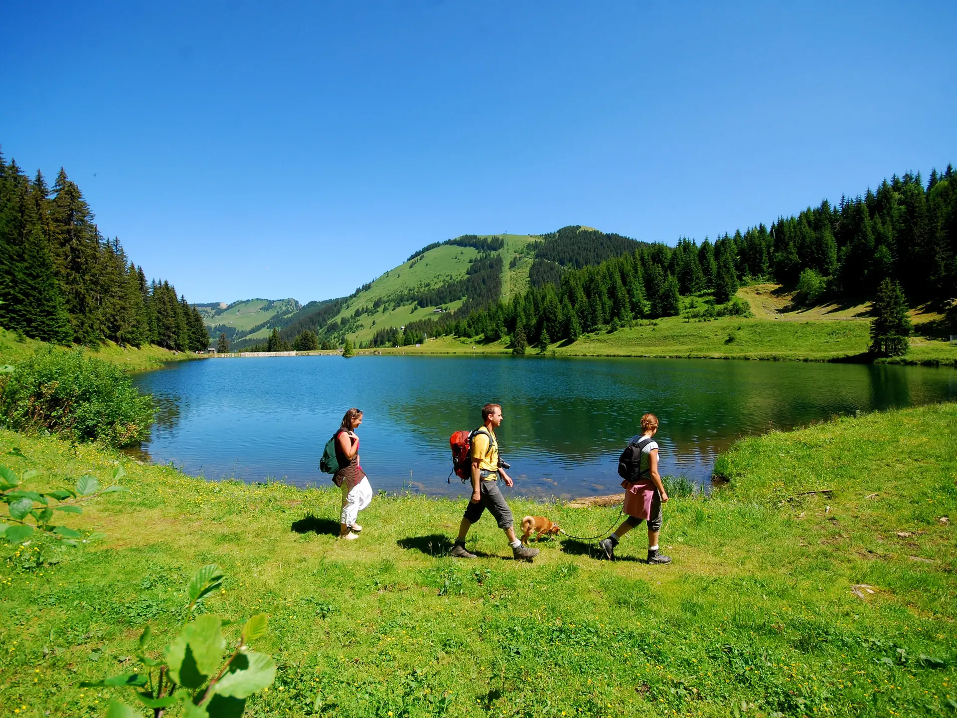 Lac de la Mouille