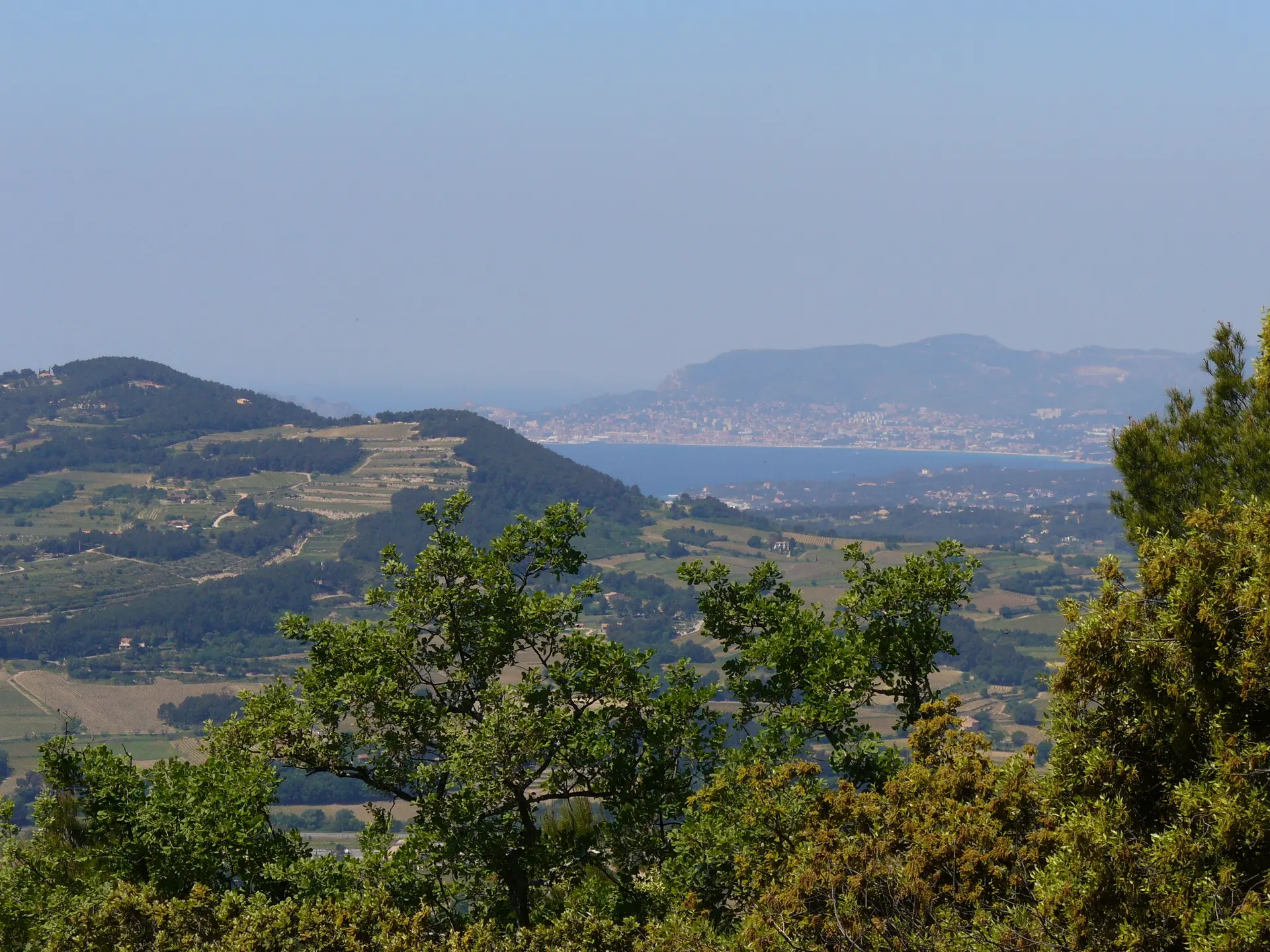 Collines, vignobles et vue mer