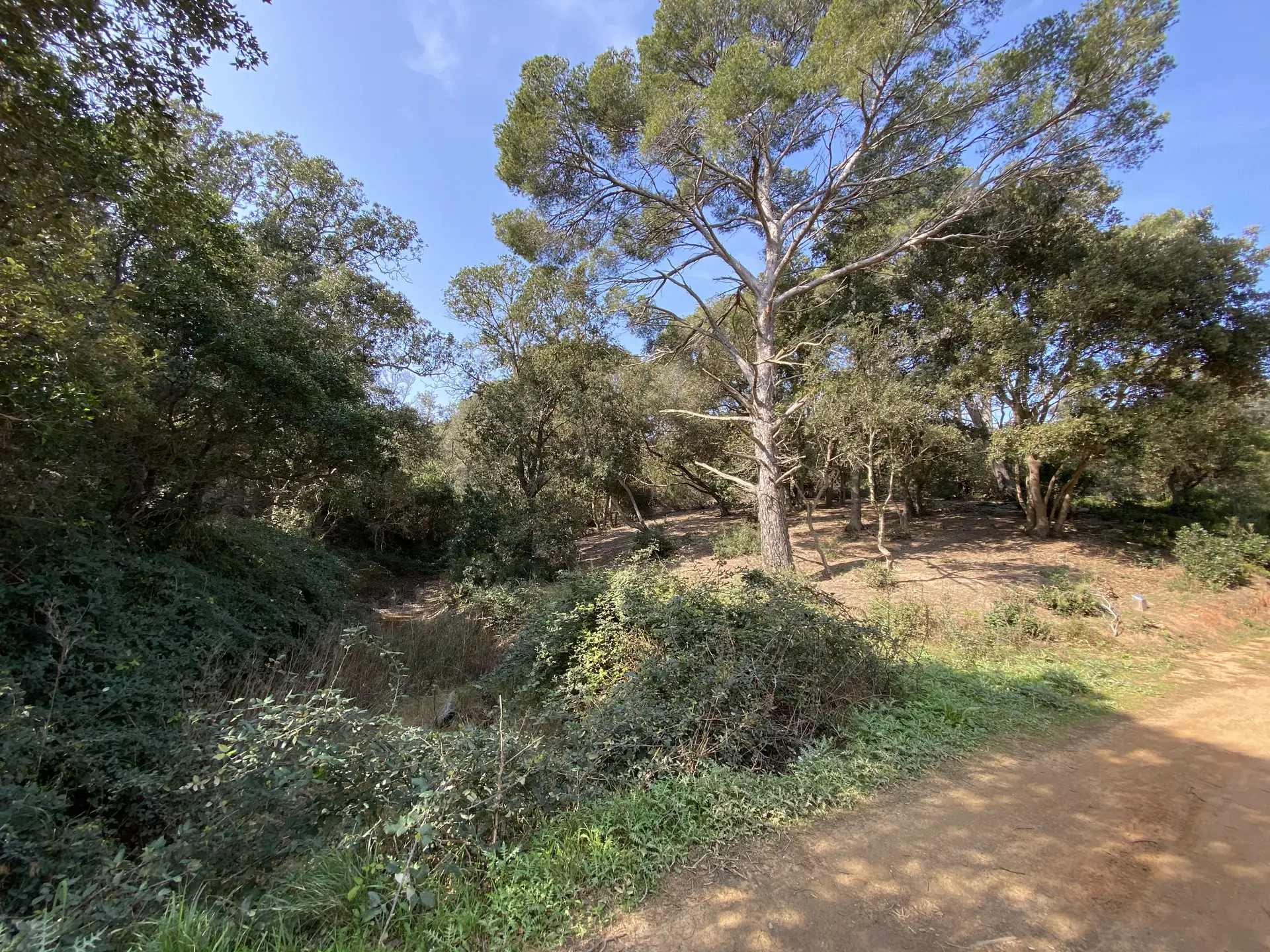 Vallon de Fortuné