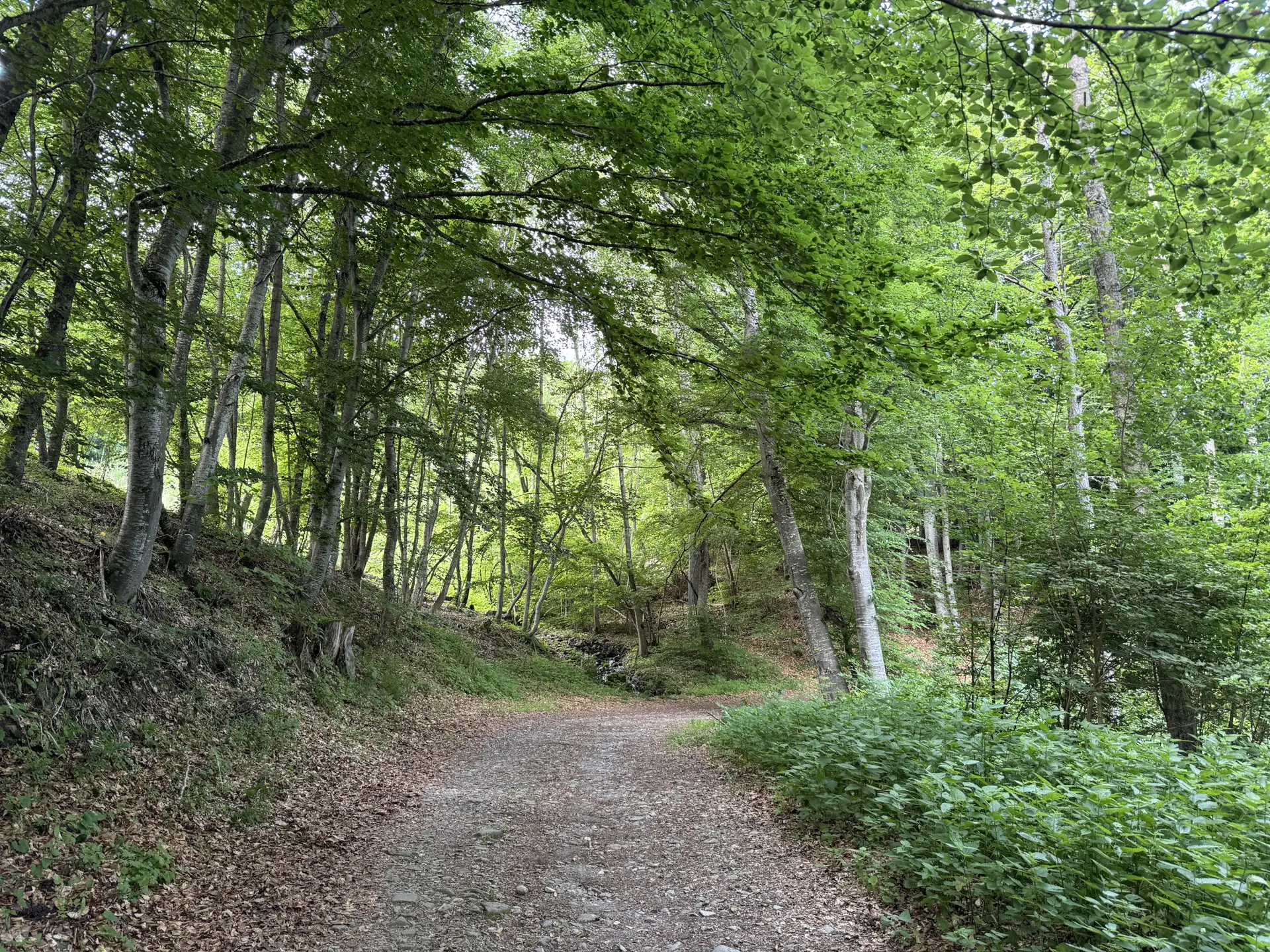 Tronçon couvert du canal de Gap, Chabottes