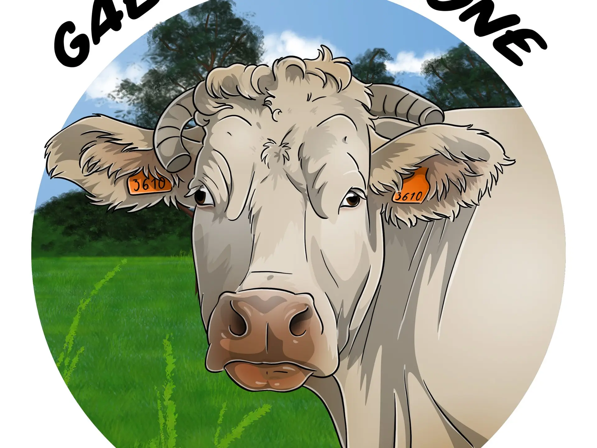 Charolaise Gaec d'Amazone