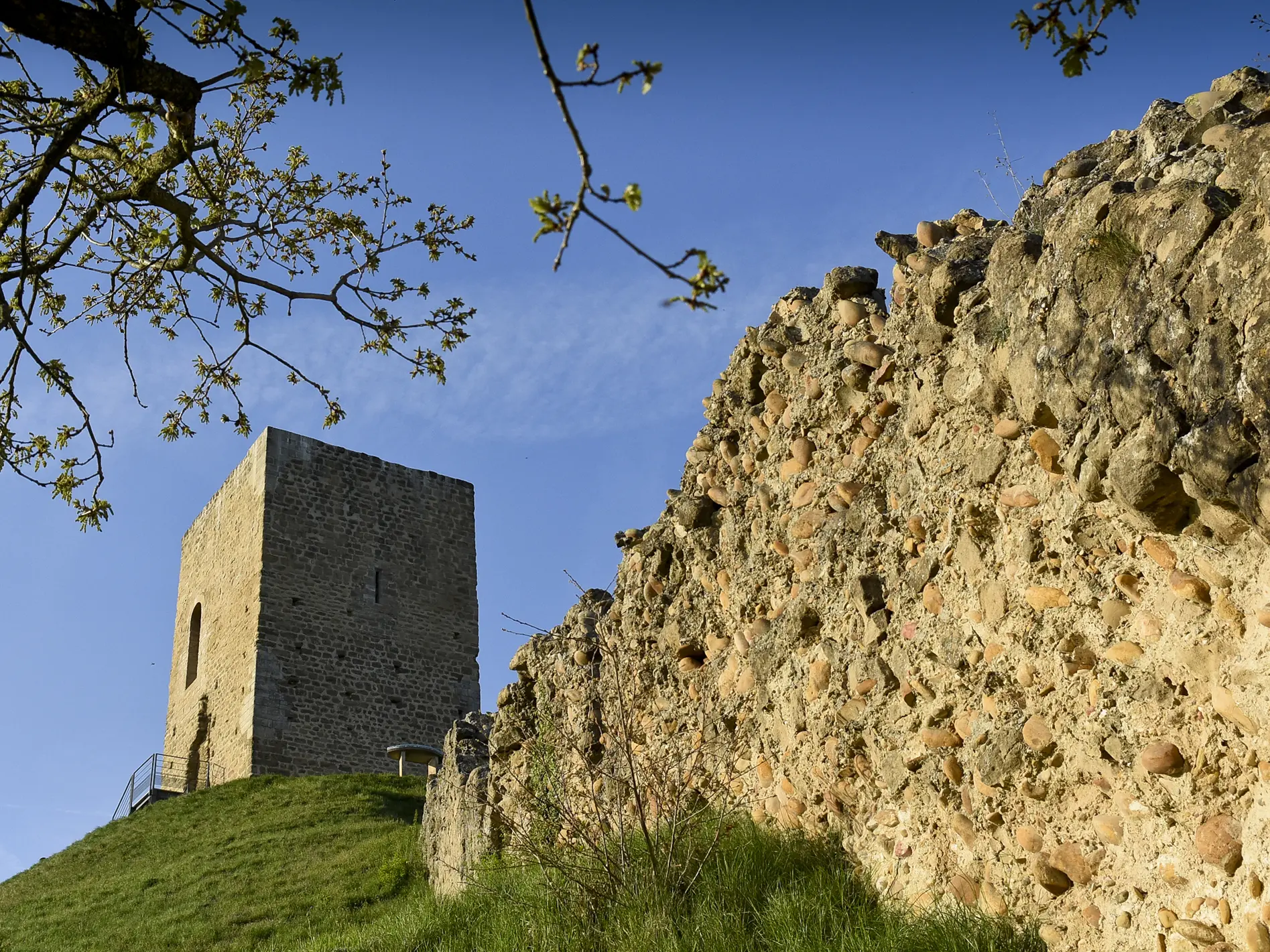 La tour et les crêtes - Albon
