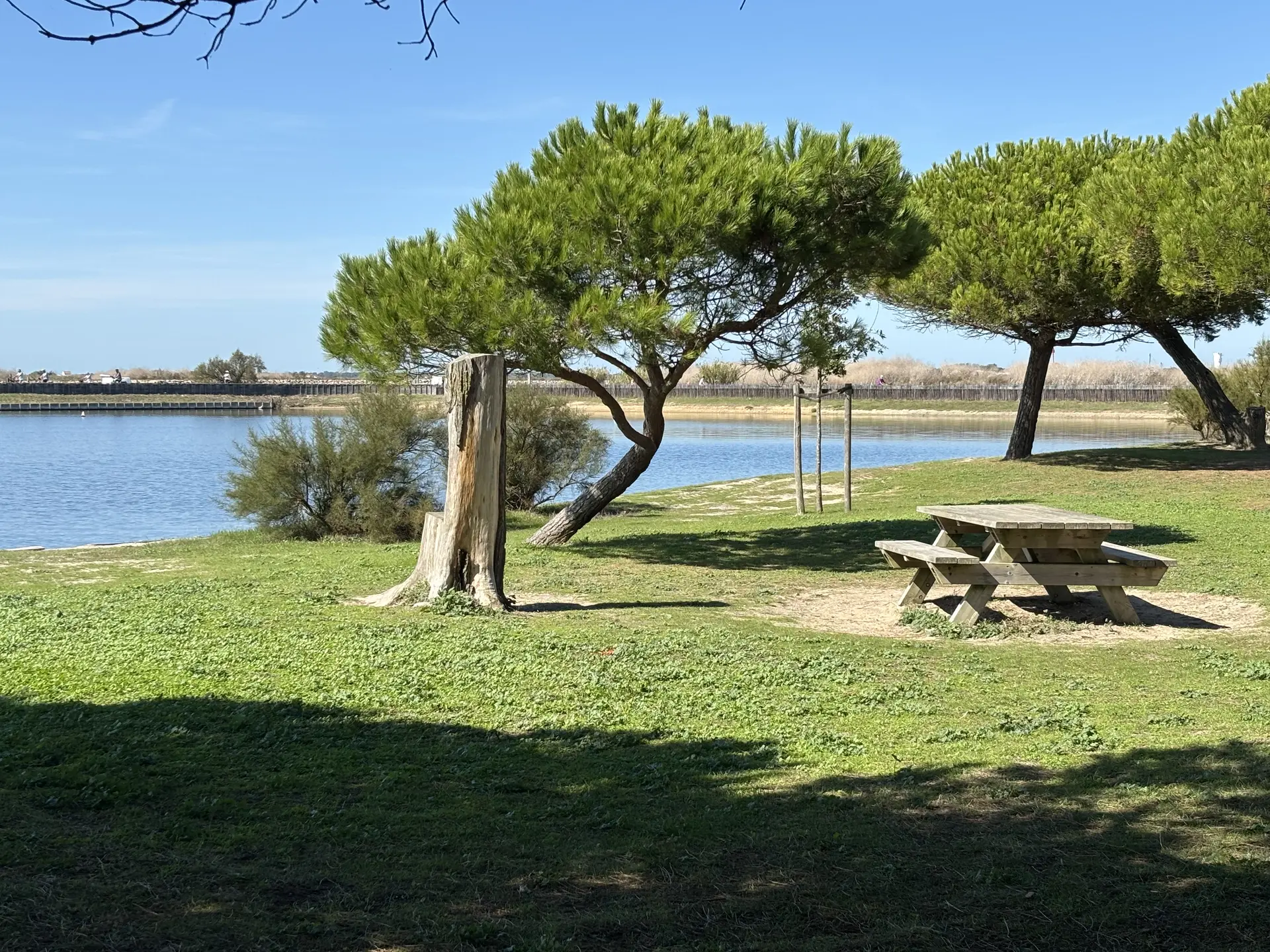 Aire de pique-nique du Goisil La Couarde-sur-Mer