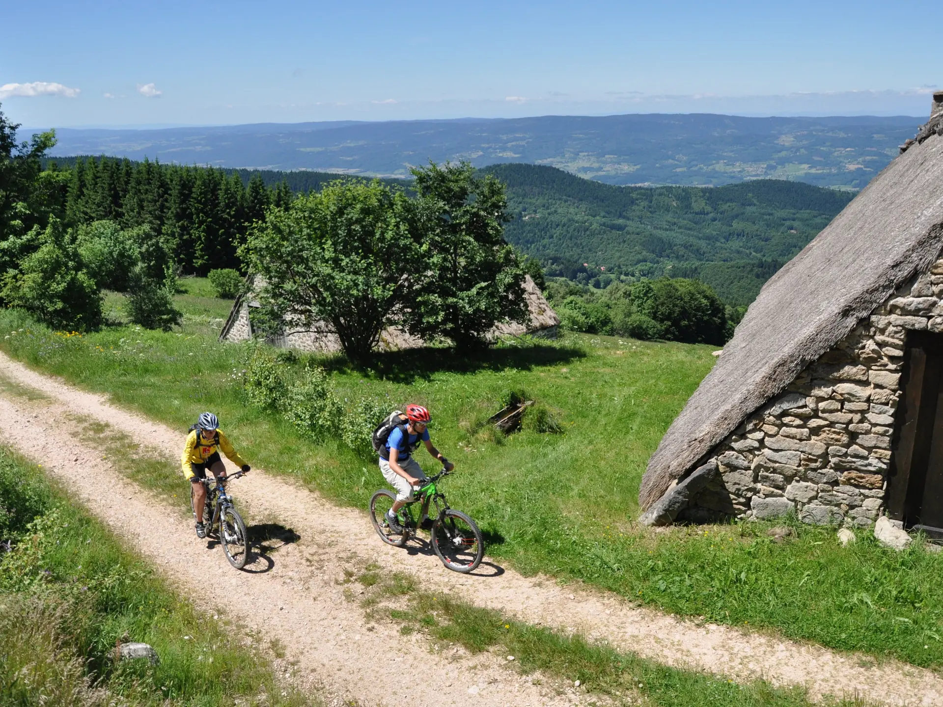 VTT